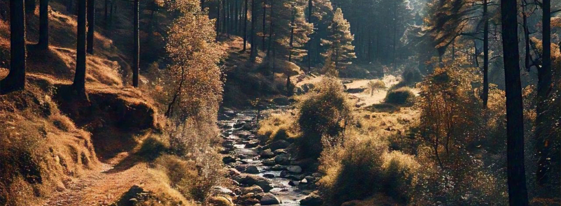 Trekking in Dooars - Neora Valley Trek virgin forests