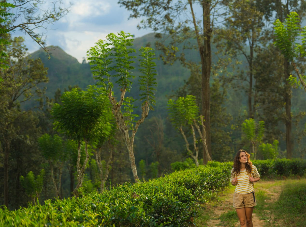 Samsing Suntalekhola offbeat nature trail