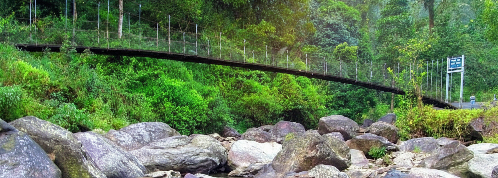 Samsing Suntalekhola Dooars tea gardens orange orchards Neora Valley National Park forest trails North Bengal hill station